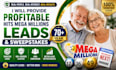 find profitable sweep leads and mega million lead generation