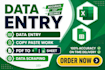 do accurate and fast data entry