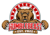 design modern creative bear logo