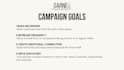 social media campaign strategy