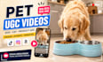create engaging pet ugc dog ecommerce dropshipping product video ads design flow