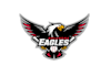 design looking competitive softball team logo