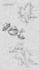 create a custom gothic calligraphy tattoo