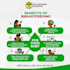 design clear and professional patient education materials