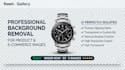 do professional photo background removal and clipping path