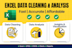 excel data cleaning, fix messy spreadsheets, data analysis