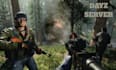 create a custom dayz server with mods and premium scripts for you