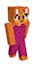 make you minecraft skins