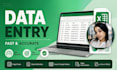 do accurate data entry, copy paste, and PDF to excel conversion