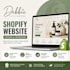 design redesign and build a professional shopify store that converts