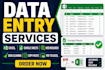 do accurate data entry, copy paste, web scraping and manual typing