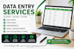 data entry copy paste and web research