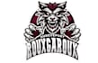 design an awesome sports mascot logo sport leagues for your