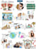 draw custom digital illustrations and sticker designs