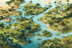 draw a vector map illustration