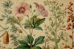 draw fineline botanical delicate flowers