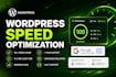 do wordpress speed optimization and speed up wordpress website