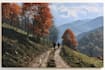 landscape oil painting art