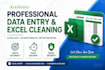 do professinal data entry, excel cleaning, and web research