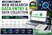 do web research, data collection, lead generation and data entry