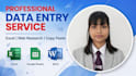 do excel data entry, web research and copy paste in 2 hours