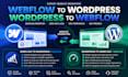 migrate webflow to wordpress and wordpress to webflow wordpress migration expert