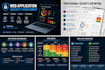 perform a professional web application security assessment