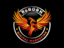create professional and awesome phoenix logo design