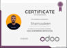 do provide expert bookkeeping and accounting in odoo