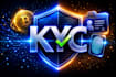 develop a professional kyc