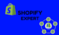 professionally do shopify font installation shopify store expert
