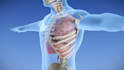 create 3d patient education and surgical procedure animations