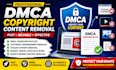provide dmca copyright content removal service