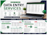 do accurate data entry, excel data cleaning and web research