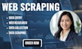 do web scraping, web research, leads, excel spreadsheet work