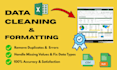 do data cleaning, formatting, and preprocessing in excel or python