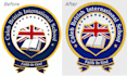 do embroidery digitizing wilcom design into dst, emb within 1 hour