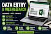 excel data entry,copy past, and web reasearch professionally