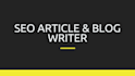 write SEO blog posts for tech or business