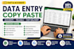 word, and excel data tasks
