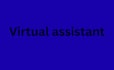 do executive virtual assistant for you