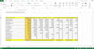 do data entry, microsoft excel