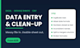 do data entry and clean up your messy excel spreadsheets