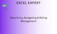 do professional excel data entry, budgeting, and billing management