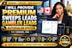 deliver live and fresh sweeps leads, takes sweeps leads, usa leads, mega million