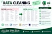 clean and organize your  excel or CSV  data using python