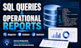 write sql queries and create operational database reports