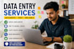 be your virtual assistant for data entry