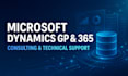 provide microsoft dynamics gp and dynamics 365 support