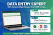 data entry ,copy paste and web research